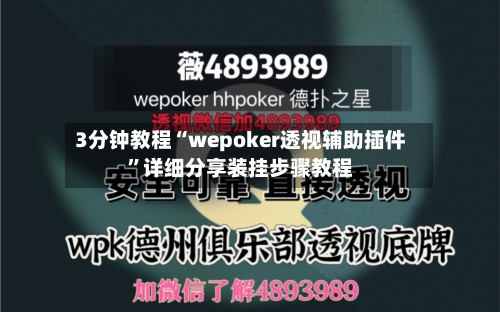 3分钟教程“wepoker透视辅助插件”详细分享装挂步骤教程-第3张图片