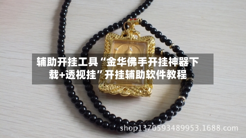 辅助开挂工具“金华佛手开挂神器下载+透视挂”开挂辅助软件教程-第3张图片