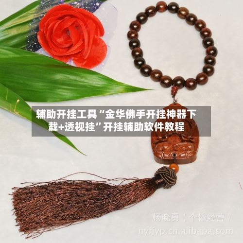 辅助开挂工具“金华佛手开挂神器下载+透视挂	”开挂辅助软件教程-第2张图片