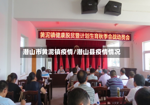 潜山市黄泥镇疫情/潜山县疫情情况