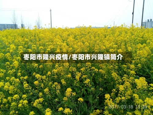 枣阳市隆兴疫情/枣阳市兴隆镇简介