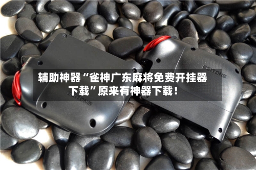 辅助神器“雀神广东麻将免费开挂器下载”原来有神器下载！-第2张图片