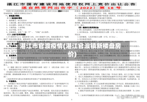 湛江市官渡疫情(湛江官渡镇新楼盘房价)