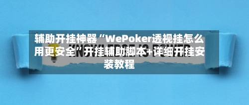 辅助开挂神器“WePoker透视挂怎么用更安全”开挂辅助脚本+详细开挂安装教程-第2张图片