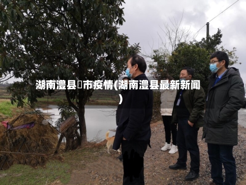 湖南澧县垱市疫情(湖南澧县最新新闻)
