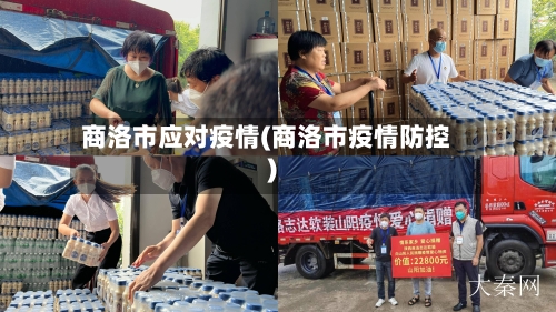 商洛市应对疫情(商洛市疫情防控)