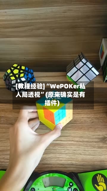 [教程经验]“WePOKer私人局透视”(原来确实是有插件)-第2张图片