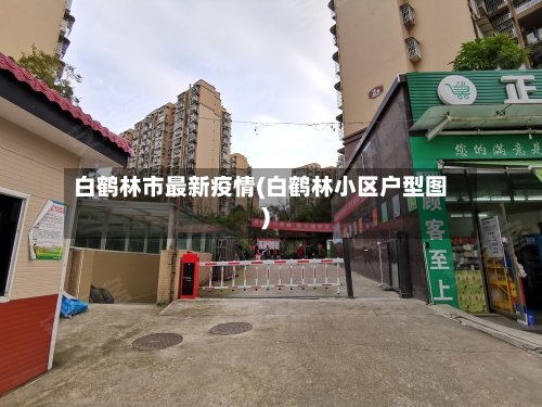白鹤林市最新疫情(白鹤林小区户型图)
