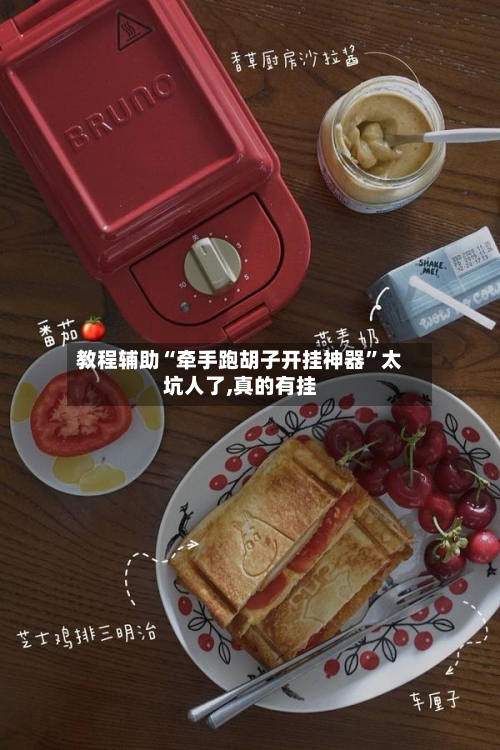 教程辅助“牵手跑胡子开挂神器	”太坑人了,真的有挂-第2张图片