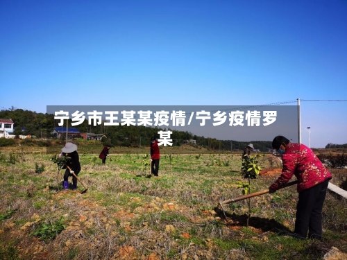 宁乡市王某某疫情/宁乡疫情罗某-第3张图片