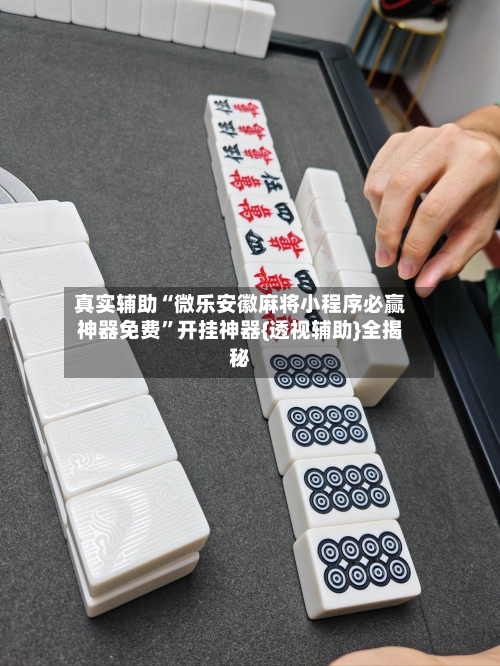 真实辅助“微乐安徽麻将小程序必赢神器免费”开挂神器{透视辅助}全揭秘-第2张图片