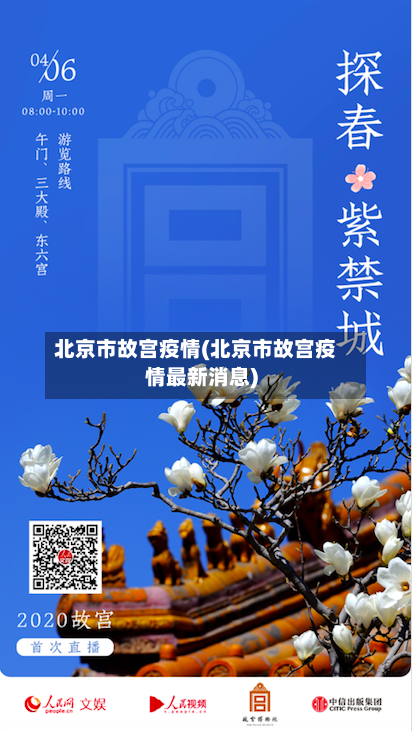 北京市故宫疫情(北京市故宫疫情最新消息)-第2张图片
