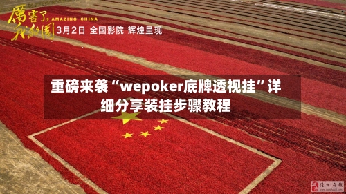 重磅来袭“wepoker底牌透视挂	”详细分享装挂步骤教程-第2张图片
