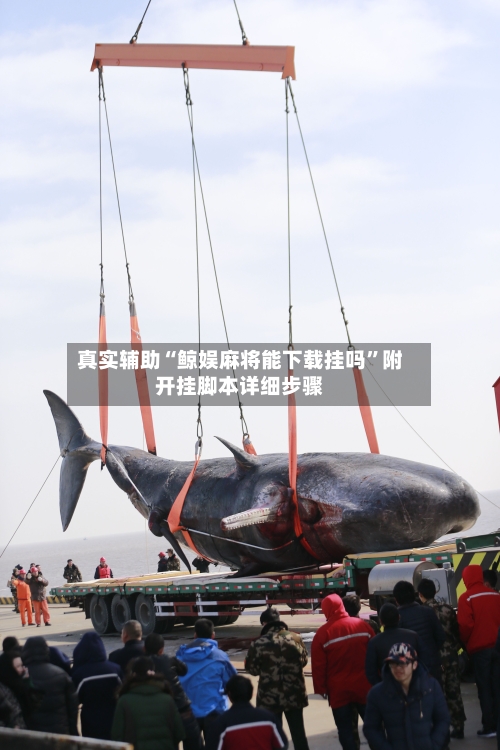 真实辅助“鲸娱麻将能下载挂吗	”附开挂脚本详细步骤-第2张图片