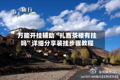 万能开挂辅助“扎西茶楼有挂吗”详细分享装挂步骤教程-第3张图片