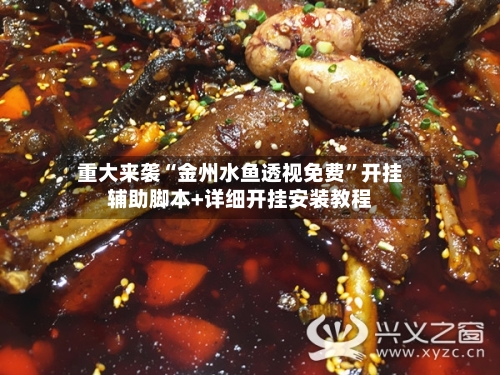 重大来袭“金州水鱼透视免费”开挂辅助脚本+详细开挂安装教程-第3张图片