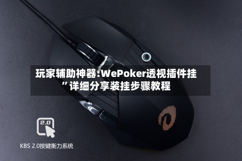 玩家辅助神器:WePoker透视插件挂	”详细分享装挂步骤教程-第2张图片