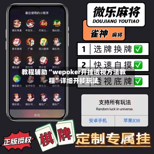 教程辅助“wepoker开挂透视方法教程	”详细开挂玩法-第3张图片