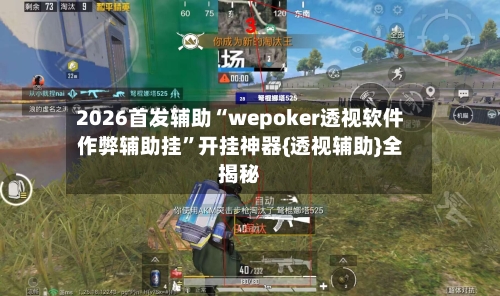 2026首发辅助“wepoker透视软件作弊辅助挂	”开挂神器{透视辅助}全揭秘-第3张图片