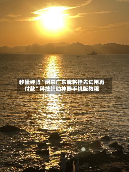 秒懂经验“闲来广东麻将挂先试用再付款	”科技辅助神器手机版教程-第2张图片