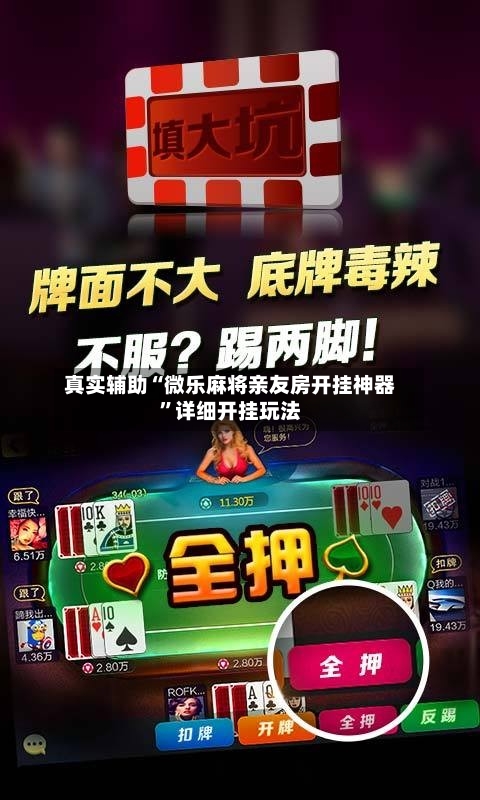 真实辅助“微乐麻将亲友房开挂神器”详细开挂玩法-第2张图片