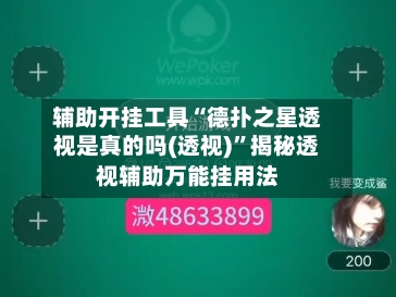辅助开挂工具“德扑之星透视是真的吗(透视)”揭秘透视辅助万能挂用法-第2张图片