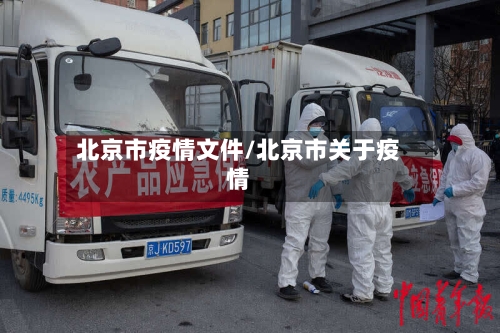 北京市疫情文件/北京市关于疫情