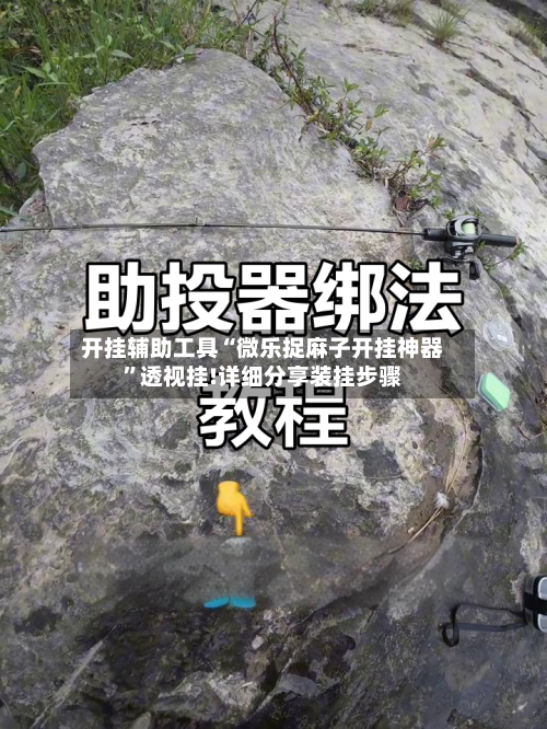 开挂辅助工具“微乐捉麻子开挂神器”透视挂!详细分享装挂步骤-第3张图片