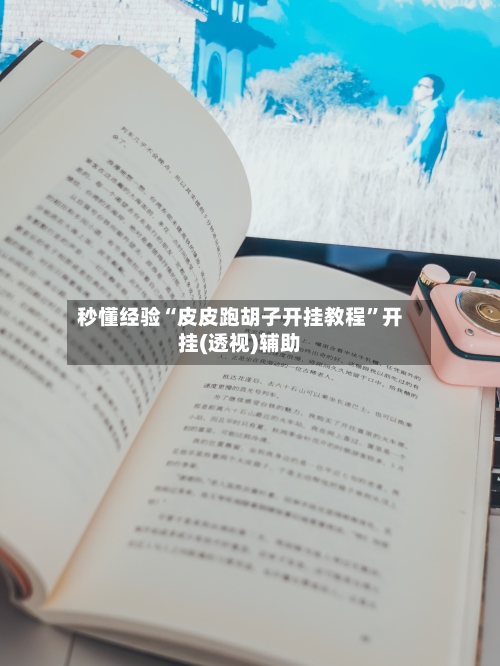 秒懂经验“皮皮跑胡子开挂教程”开挂(透视)辅助-第2张图片