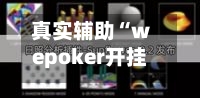 真实辅助“wepoker开挂辅助挂透视挂	”(详细透视教程)-第3张图片