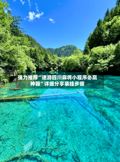 强力推荐“途游四川麻将小程序必赢神器”详细分享装挂步骤-第2张图片