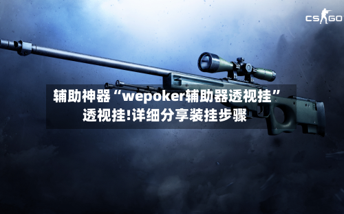 辅助神器“wepoker辅助器透视挂”透视挂!详细分享装挂步骤-第2张图片