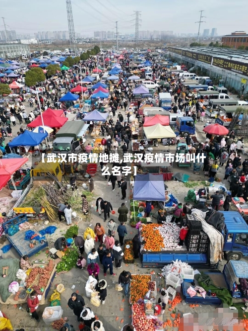 【武汉市疫情地摊,武汉疫情市场叫什么名字】-第3张图片
