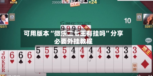 可用版本“微乐二七王有挂吗”分享必要外挂教程-第2张图片