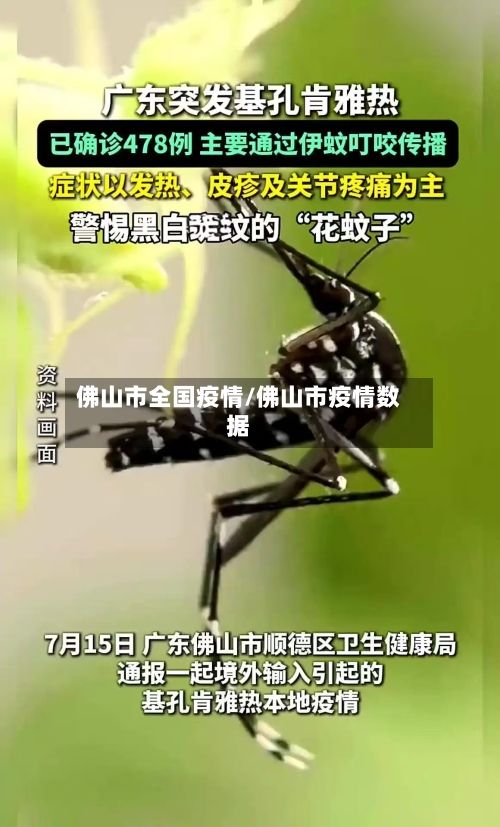 佛山市全国疫情/佛山市疫情数据-第2张图片