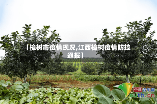 【樟树市疫情现况,江西樟树疫情防控通报】-第3张图片