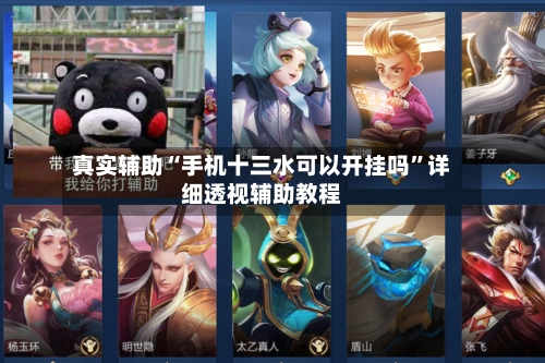 真实辅助“手机十三水可以开挂吗”详细透视辅助教程