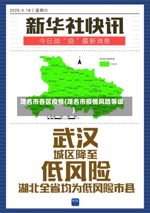 茂名市各区疫情(茂名市疫情风险等级)-第3张图片