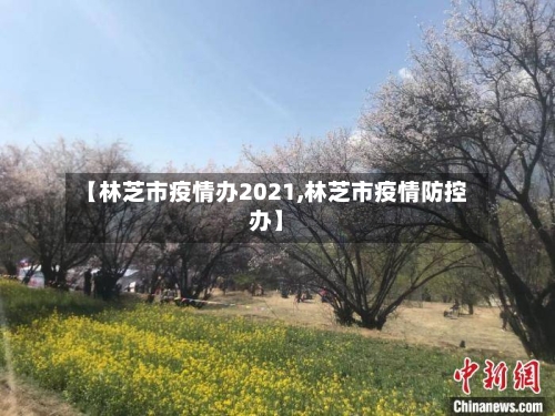 【林芝市疫情办2021,林芝市疫情防控办】-第2张图片
