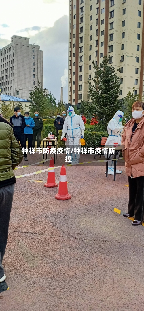 钟祥市防疫疫情/钟祥市疫情防控-第2张图片