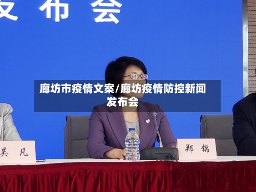 廊坊市疫情文案/廊坊疫情防控新闻发布会-第3张图片