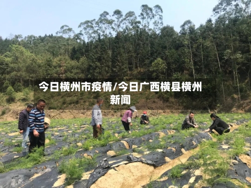 今日横州市疫情/今日广西横县横州新闻-第3张图片