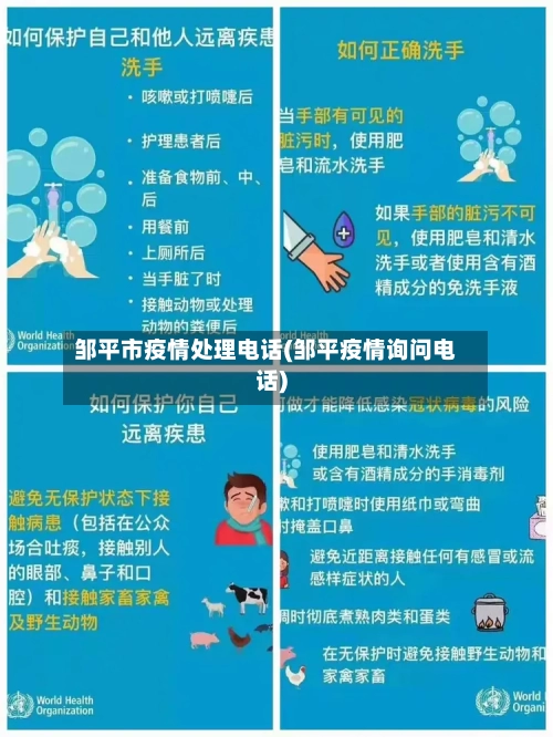 邹平市疫情处理电话(邹平疫情询问电话)-第2张图片