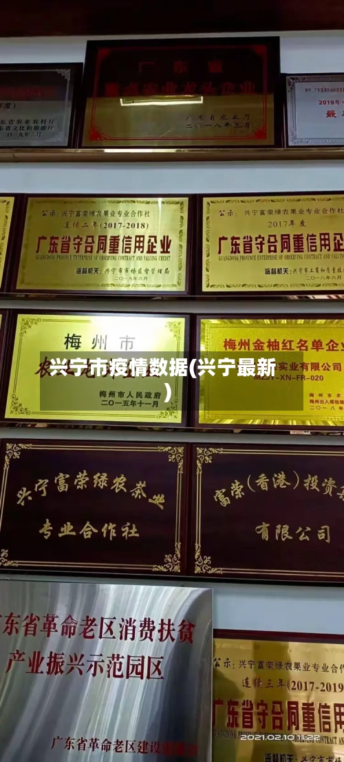 兴宁市疫情数据(兴宁最新)-第3张图片