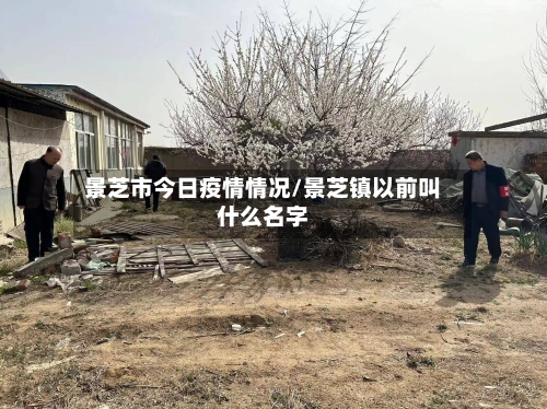景芝市今日疫情情况/景芝镇以前叫什么名字