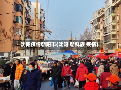 沈阳疫情朝阳市(沈阳 朝鲜族 疫情)-第2张图片