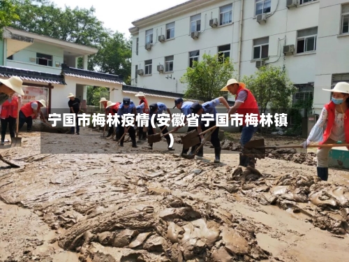 宁国市梅林疫情(安徽省宁国市梅林镇)