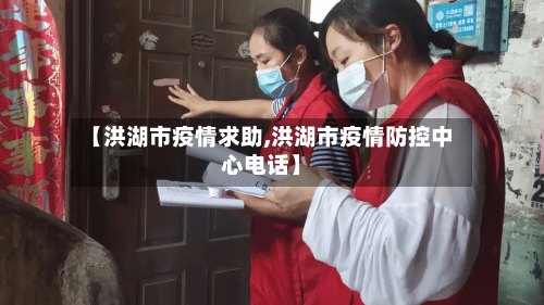 【洪湖市疫情求助,洪湖市疫情防控中心电话】