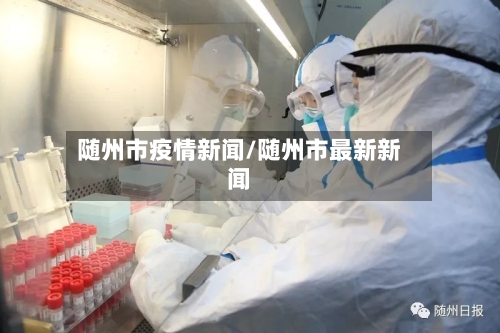 随州市疫情新闻/随州市最新新闻