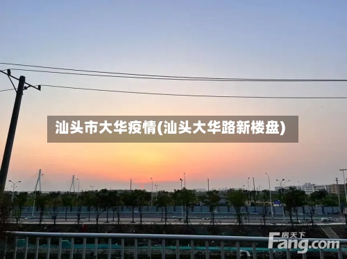 汕头市大华疫情(汕头大华路新楼盘)-第2张图片